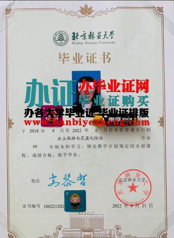 北京林业大学2022年全日制本科毕业证图片