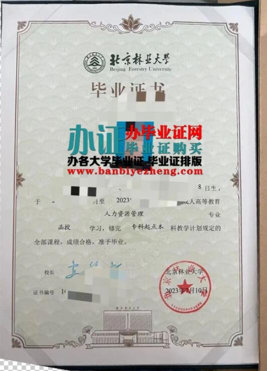 办北京林业大学继续教育学院2023年函授本科毕业证样本