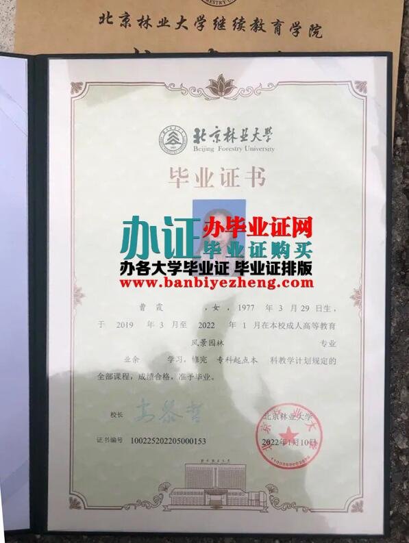 北京林业大学继续教育学院2022年业余本科毕业证样本
