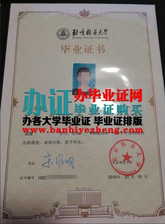 北京林业大学2018年函授专科起点本科毕业证样本