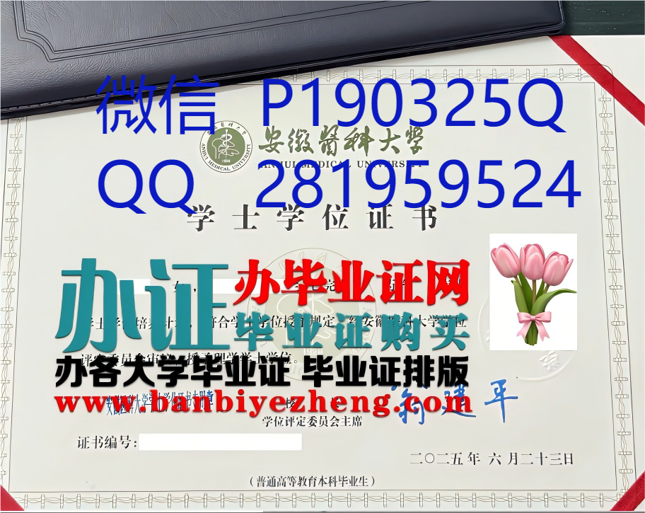 安徽医科大学学士学位证书2025高清版本