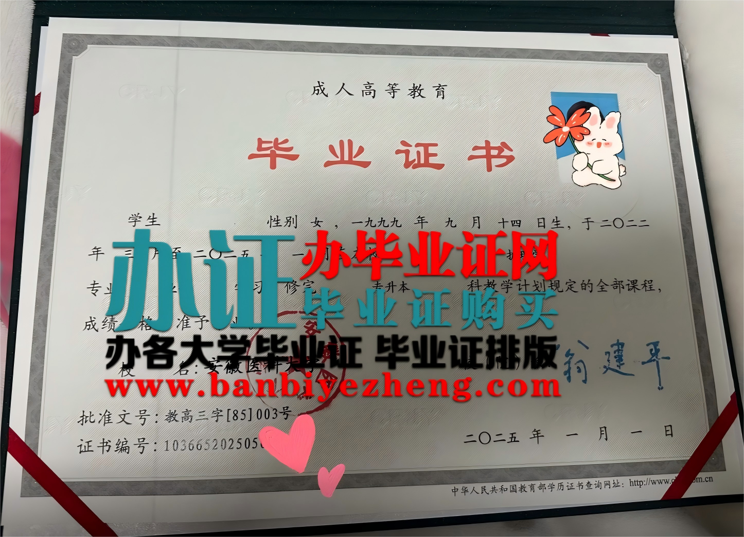 安徽医科大学毕业证样本