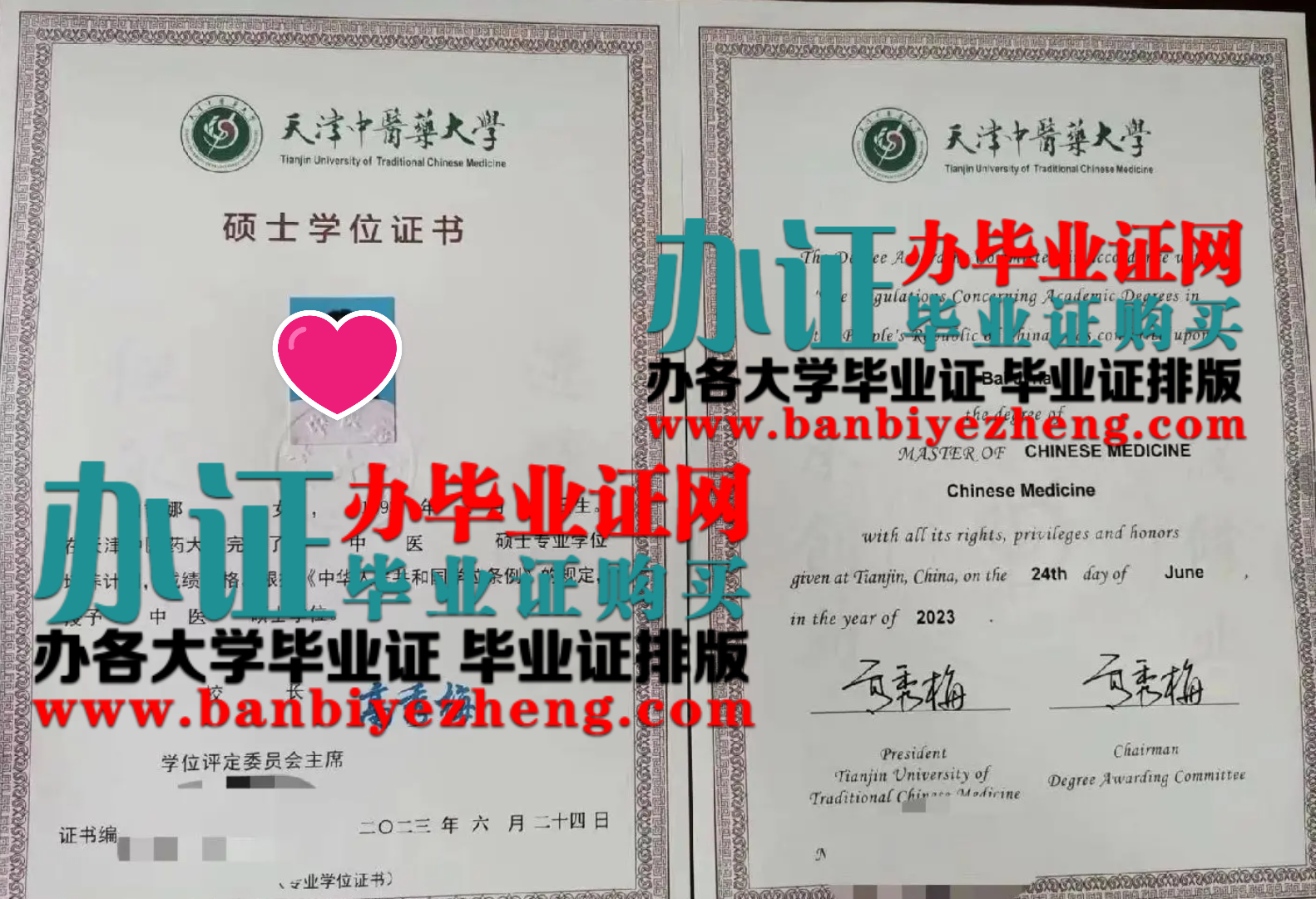 天津中医药大学硕士学位证书样本