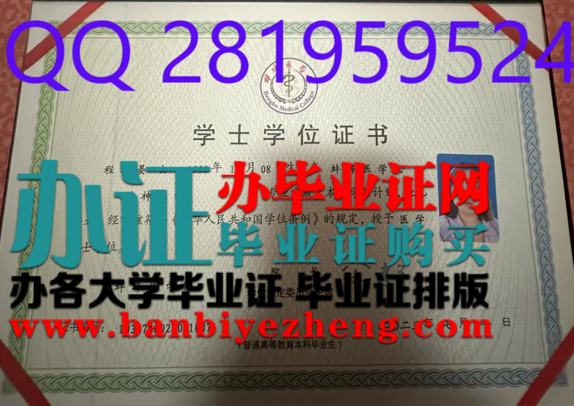 蚌埠医学院学士学位证书高清样本