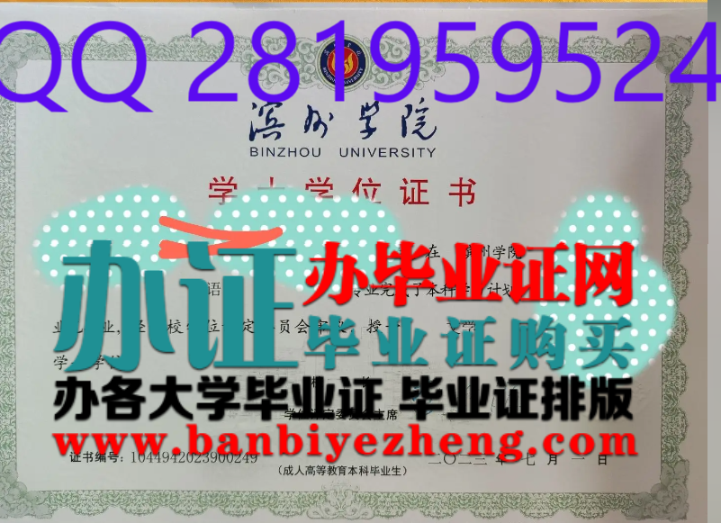 滨州学院学士学位证样本