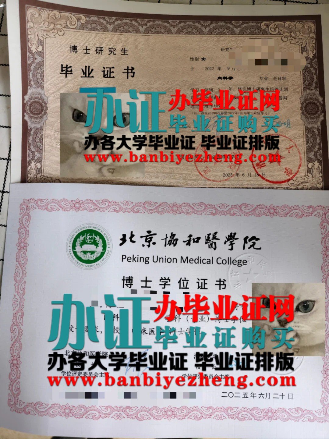 2025年最新版北京协和医学院博士研究生毕业证和博士学位证高清样本