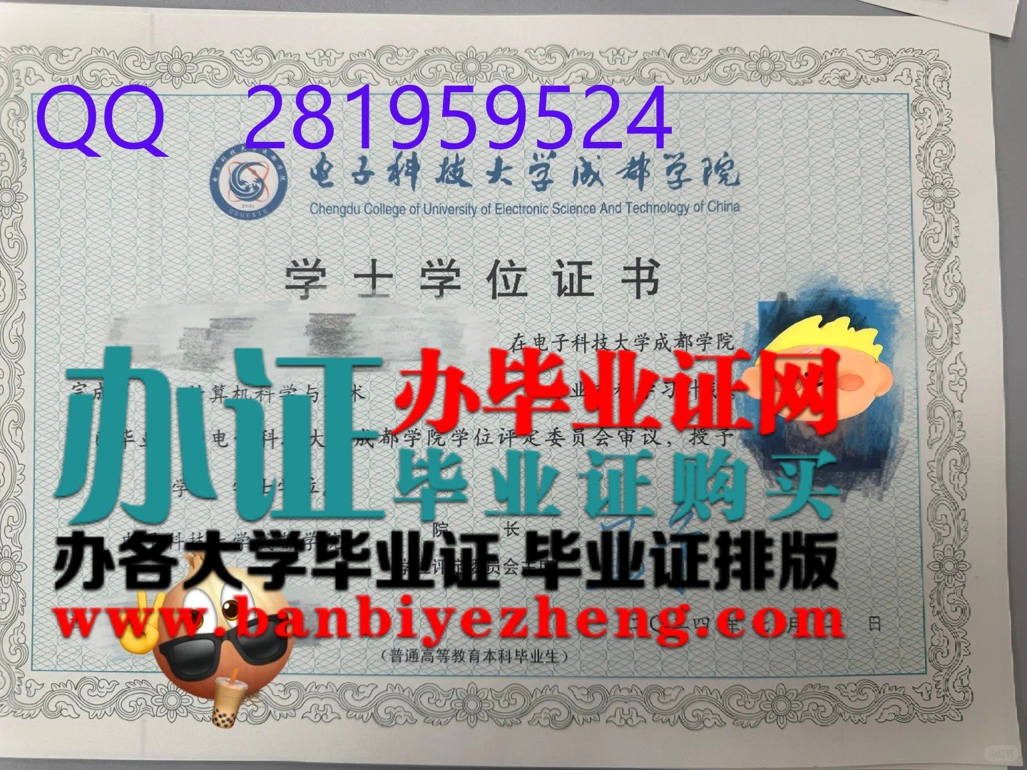 电子科技大学成都学院学士学位证样本