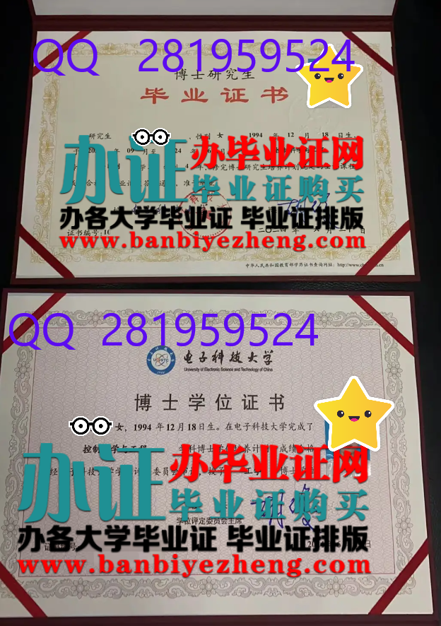 电子科技大学博士研究生毕业证和博士学位证高清样本