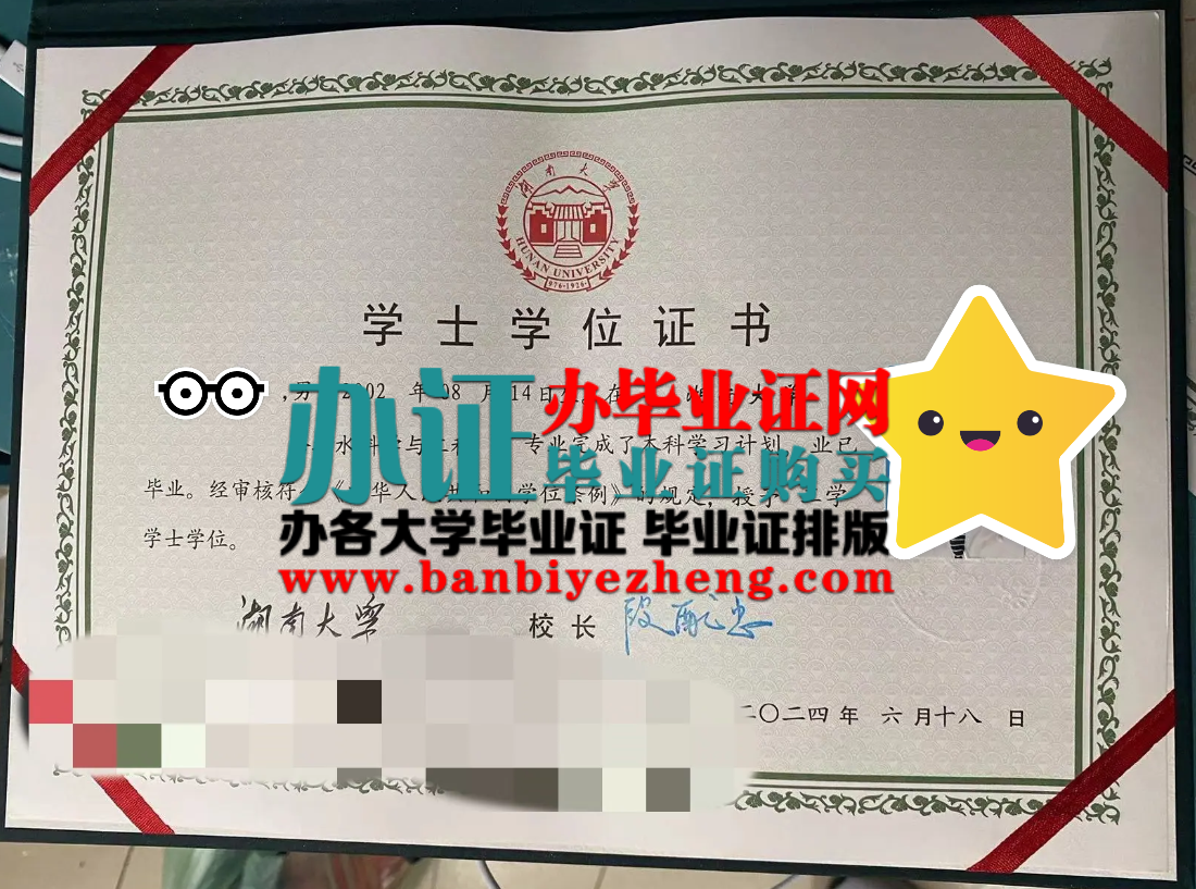 湖南大学学士学位证样本