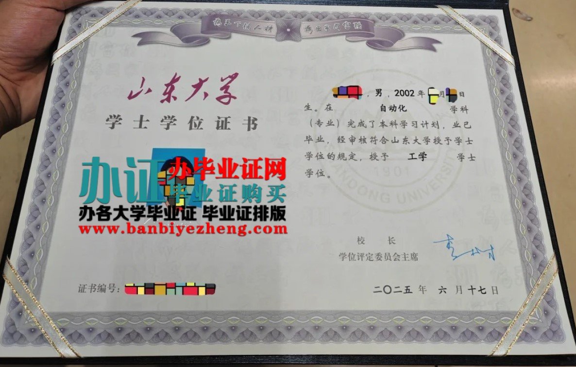 山东大学学士学位证最新版高清样本
