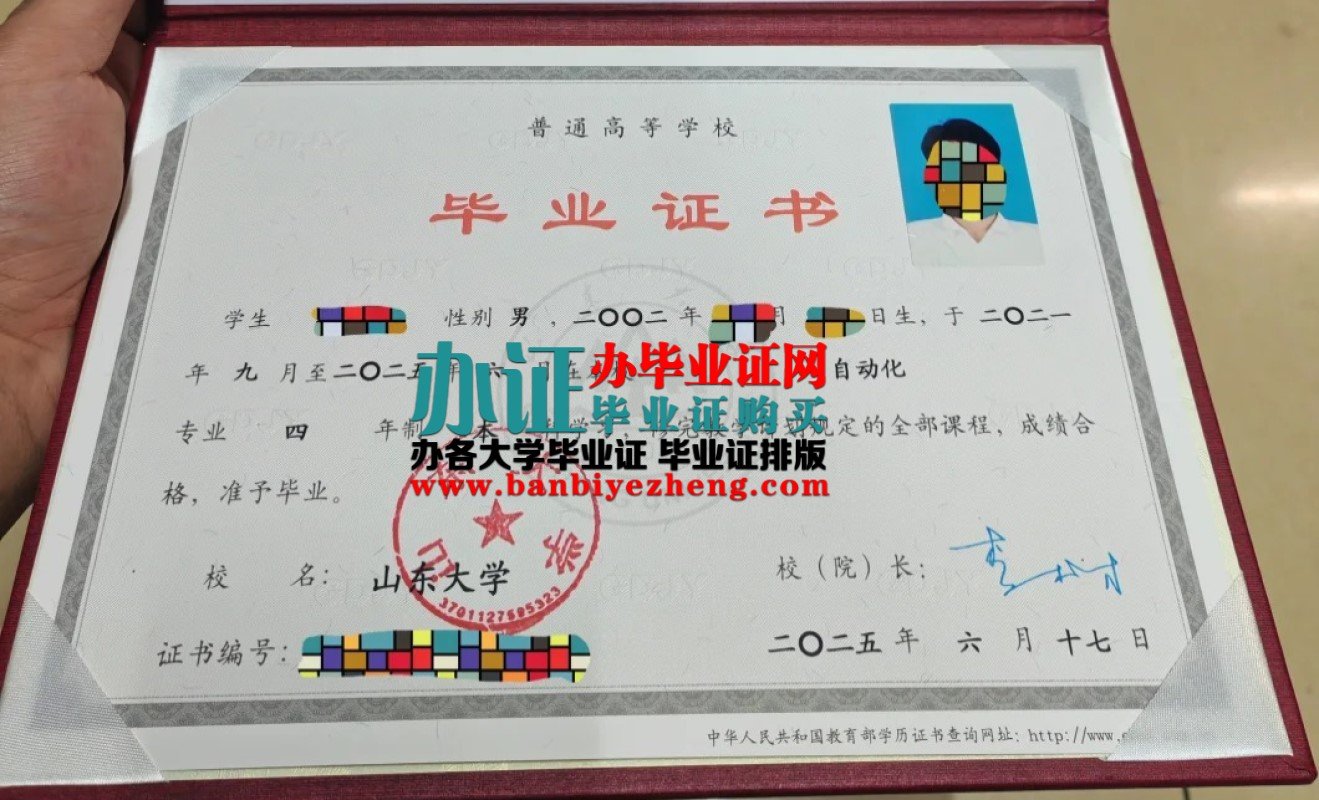山东大学本科毕业证高清样本