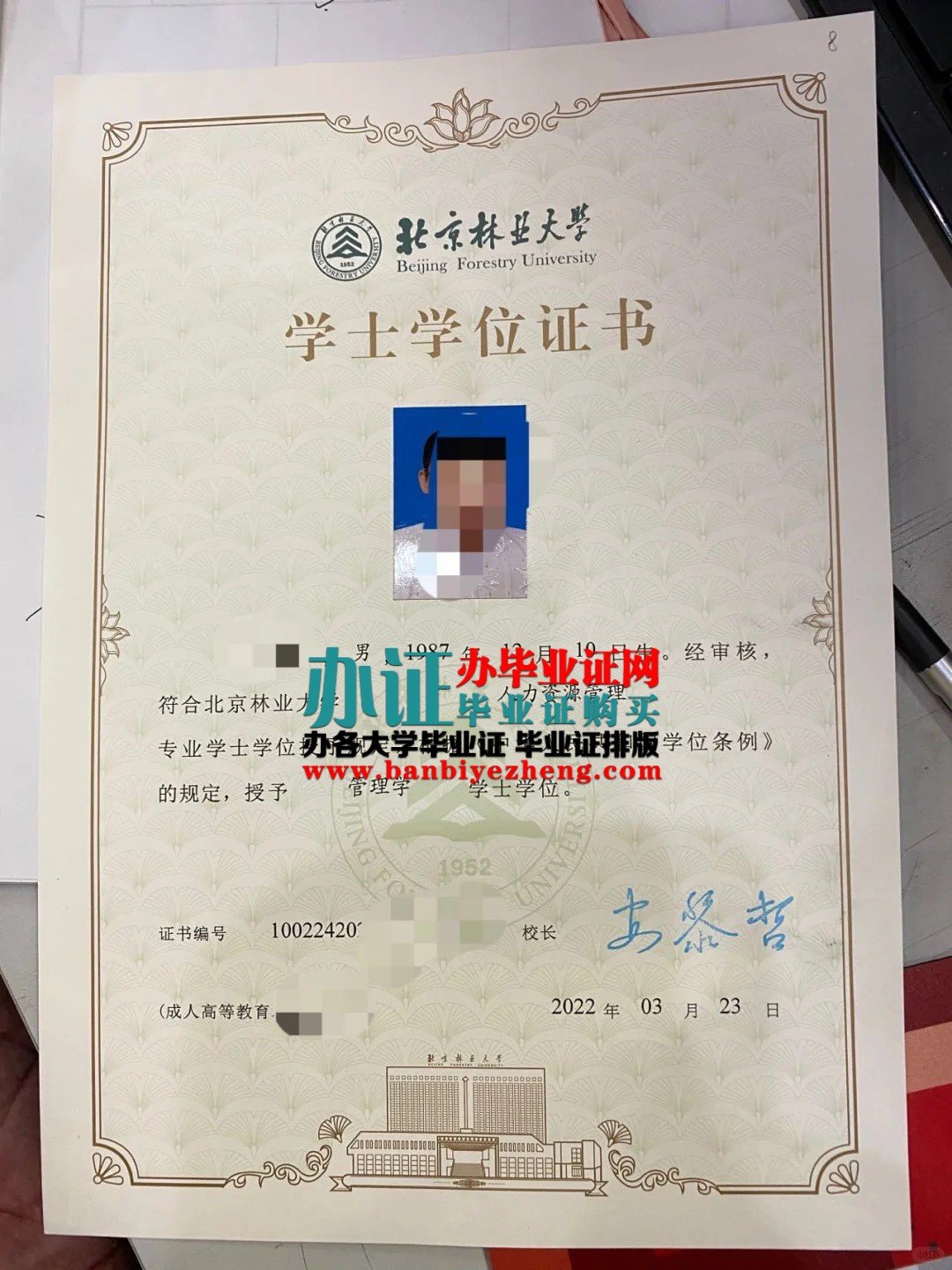 北京林业大学学士学位证样本