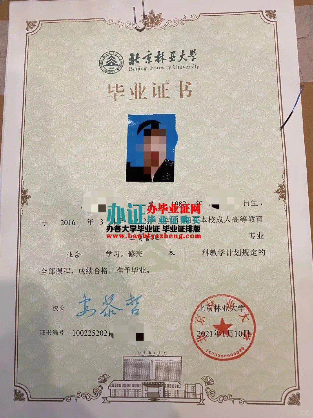 北京林业大学本科毕业证专版样本