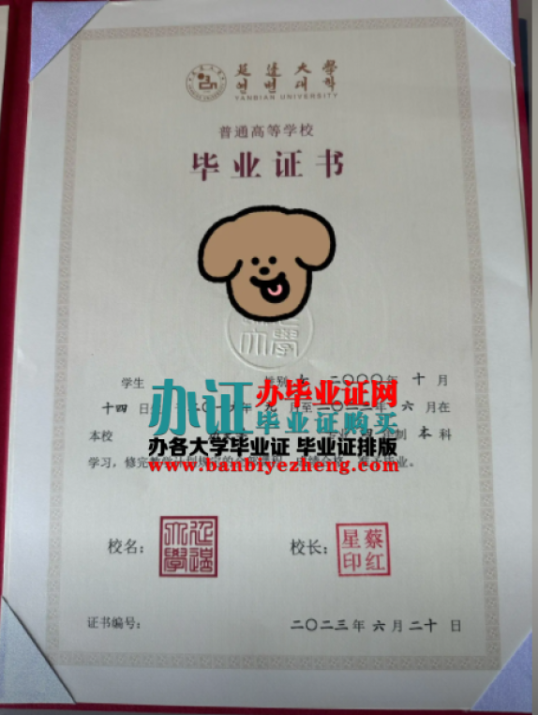 延边大学专版本科毕业证样本