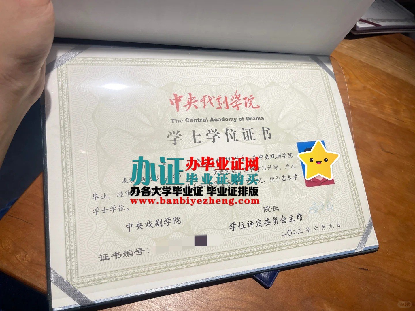 中央戏剧学院学士学位证样本