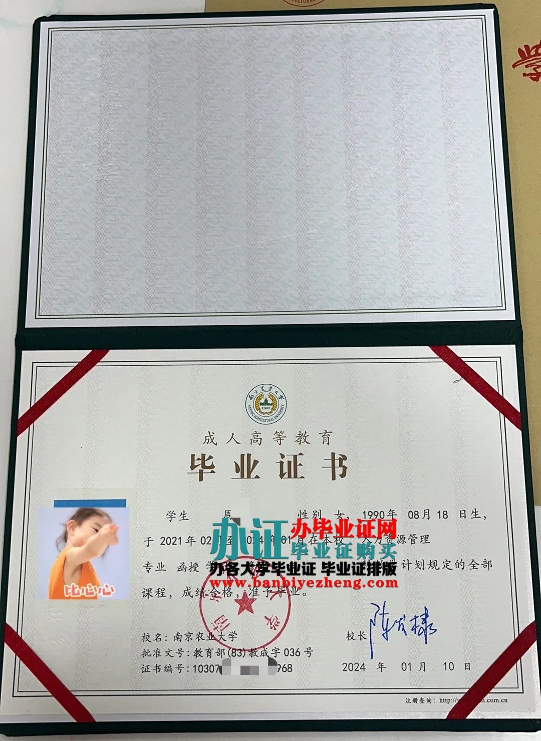 南京农业大学本科毕业证样本