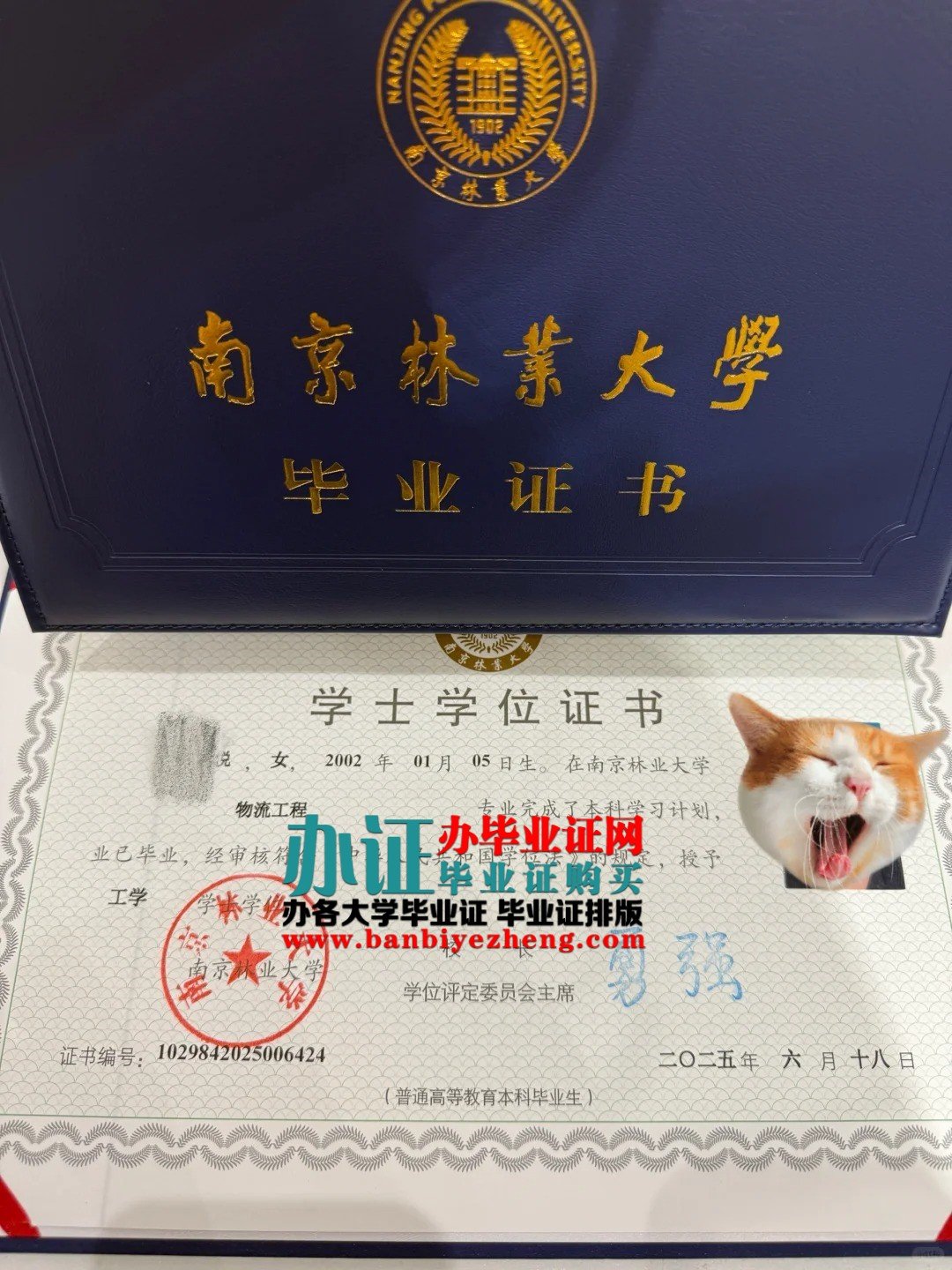 2025年新版南京林业大学学士学位证高清样本
