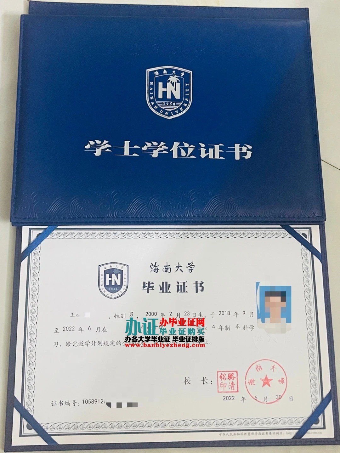 海南大学本科毕业证样本