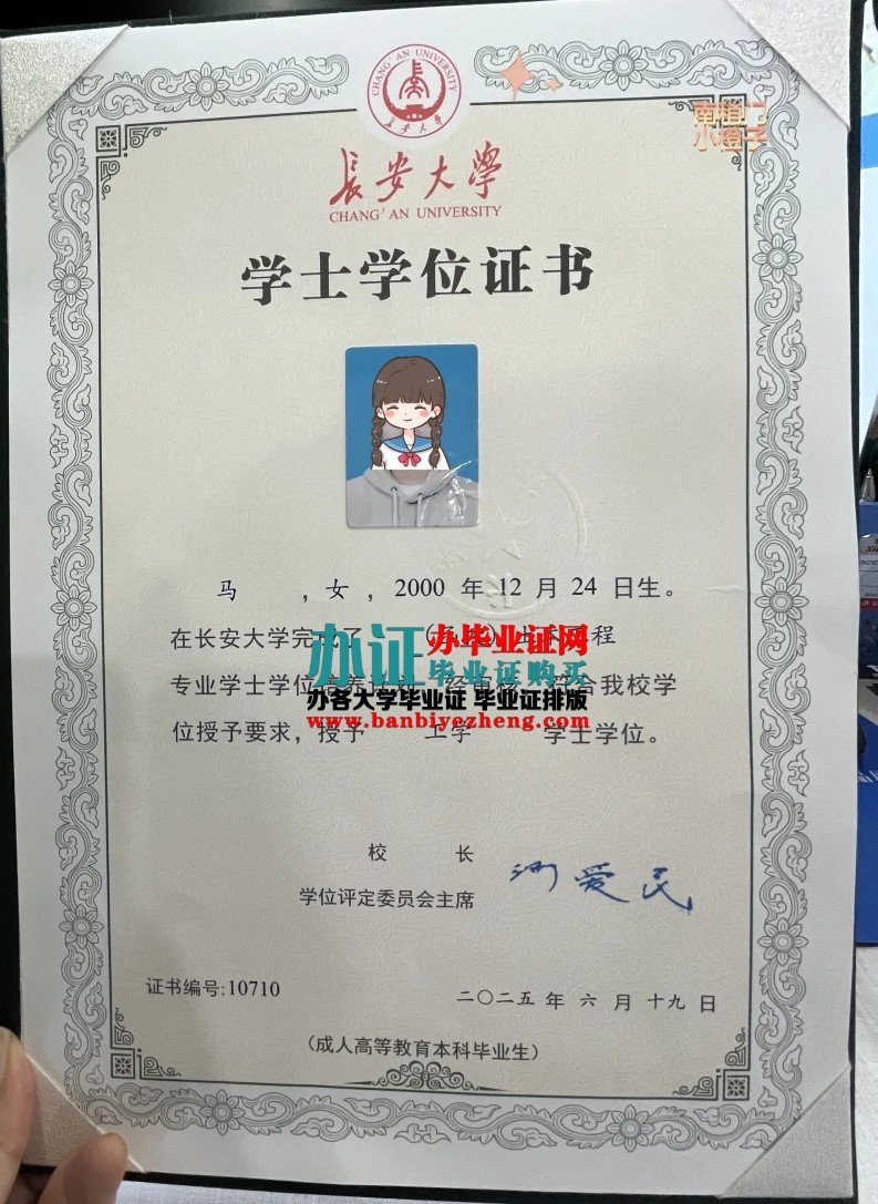 长安大学学士学位证样本