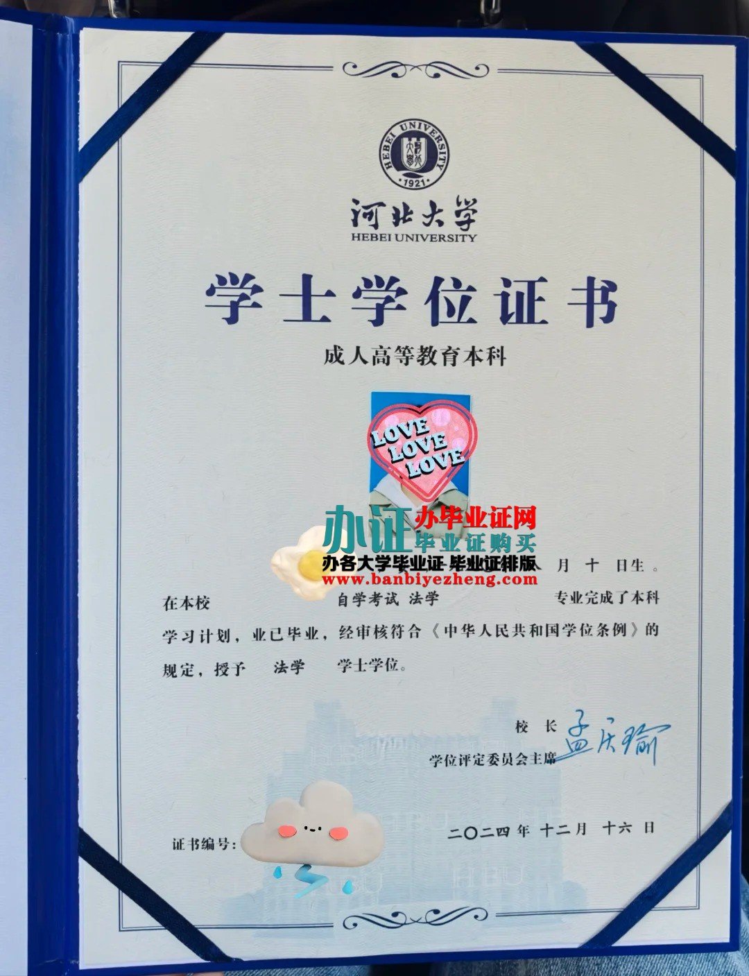 河北大学学士学位证样本