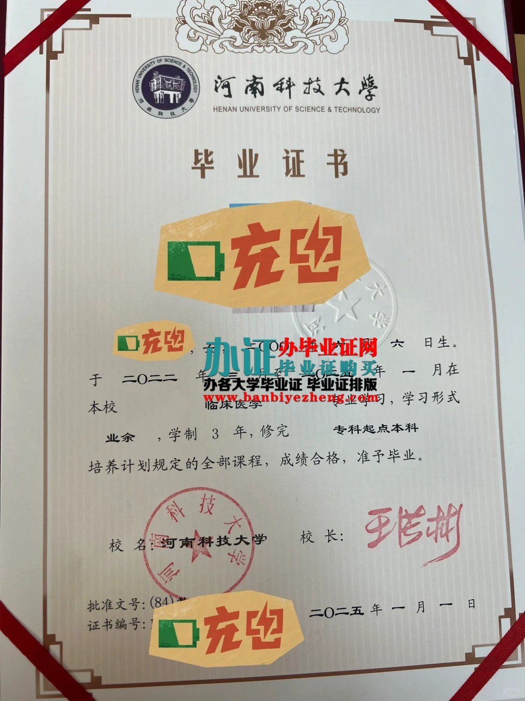 河南科技大学专版毕业证样本