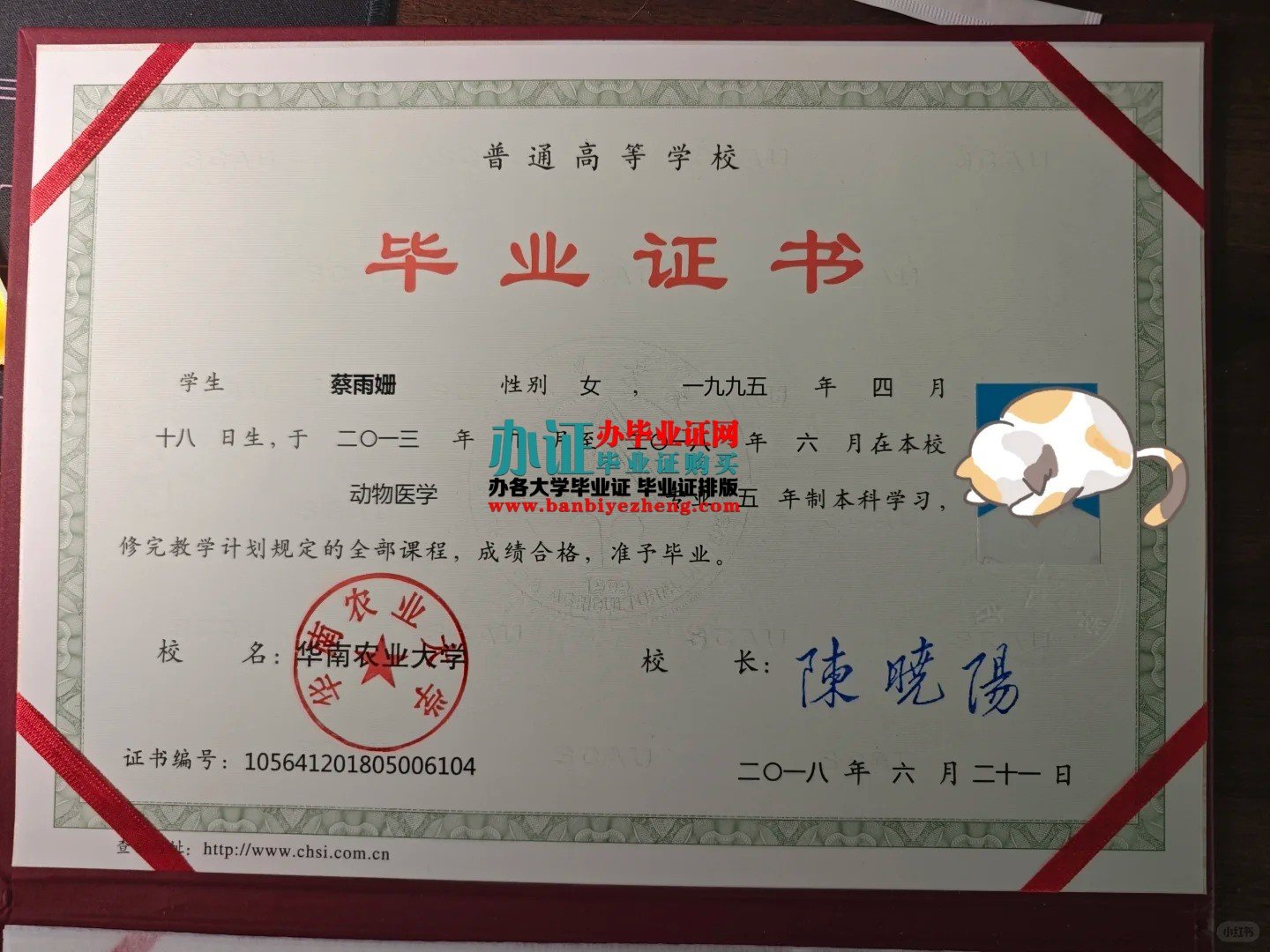 华南农业大学本科毕业证样本