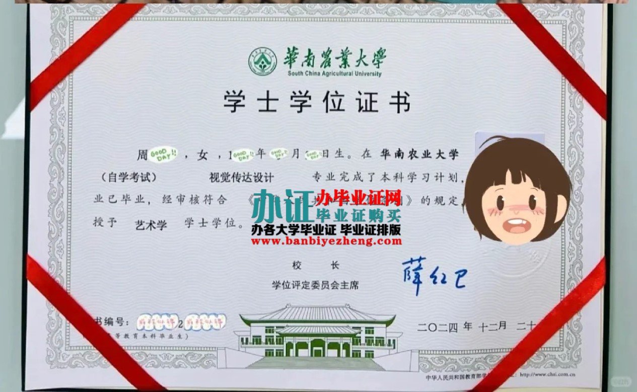 华南农业大学学士学位证样本