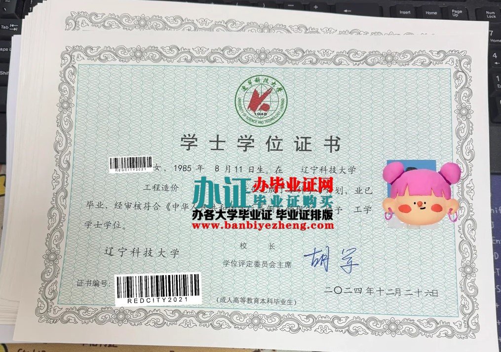 辽宁科技大学学士学位证样本