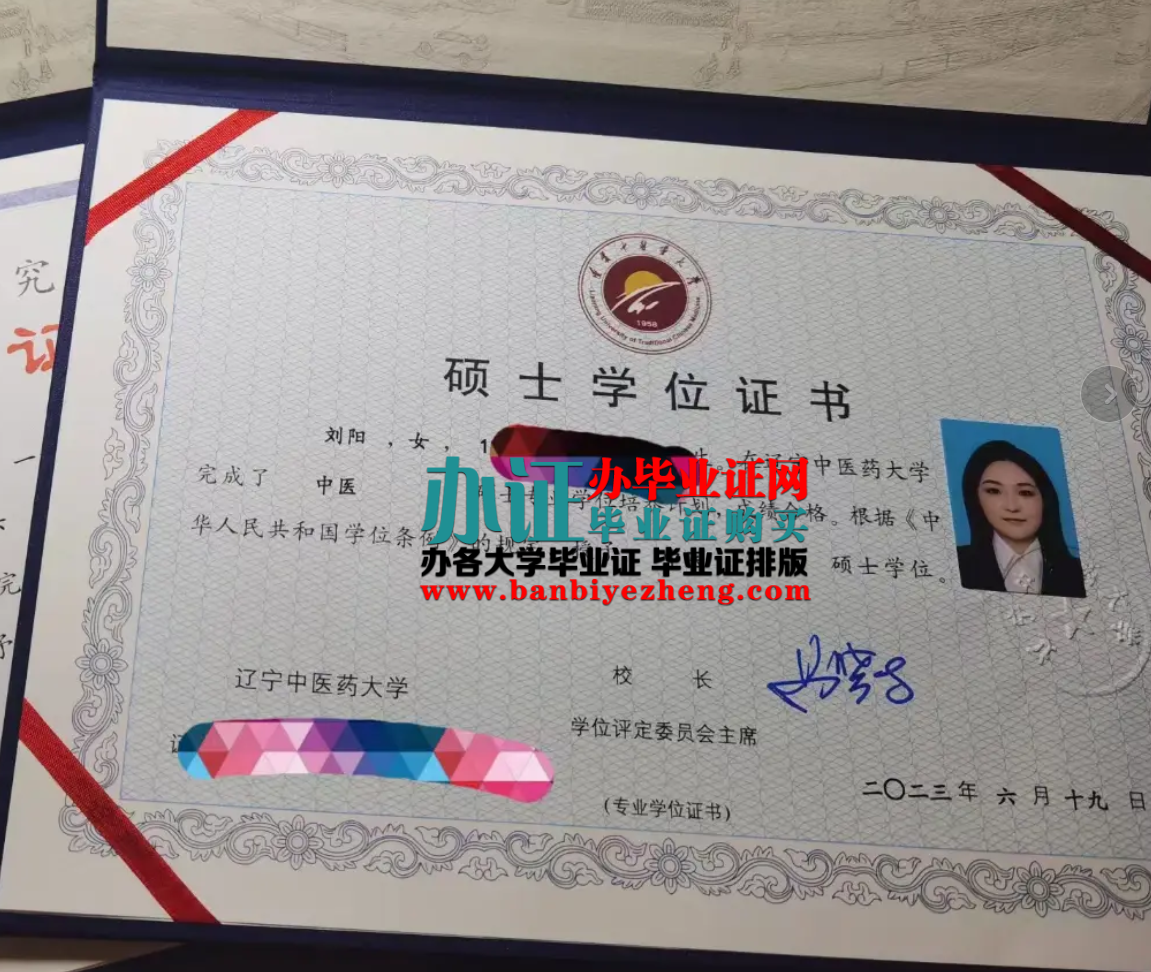 辽宁中医药大学硕士学位证样本