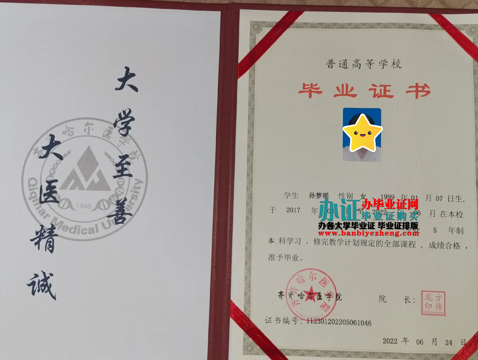 齐齐哈尔医学院本科专版毕业证样本