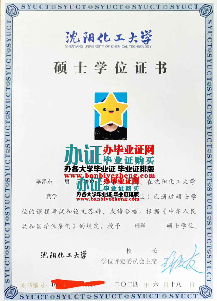 沈阳化工大学硕士学位证样本