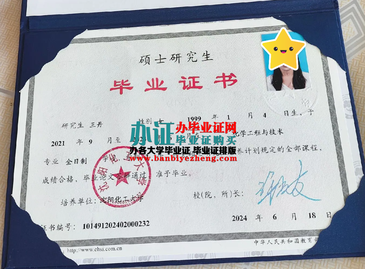 沈阳化工大学硕士研究生毕业证样本