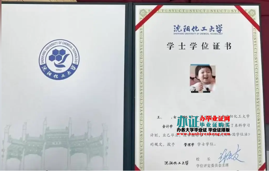 沈阳化工大学学士学位证高清样本