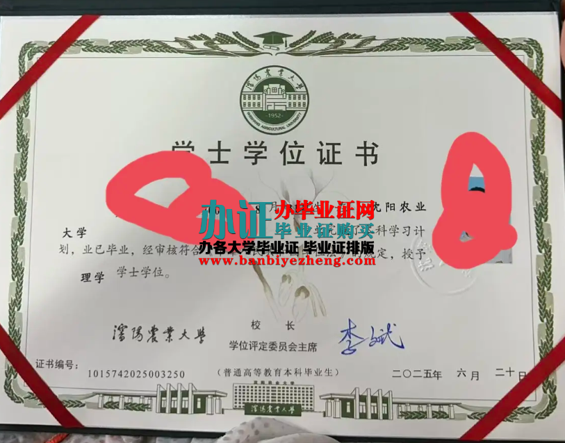 沈阳农业大学学士学位证高清样本
