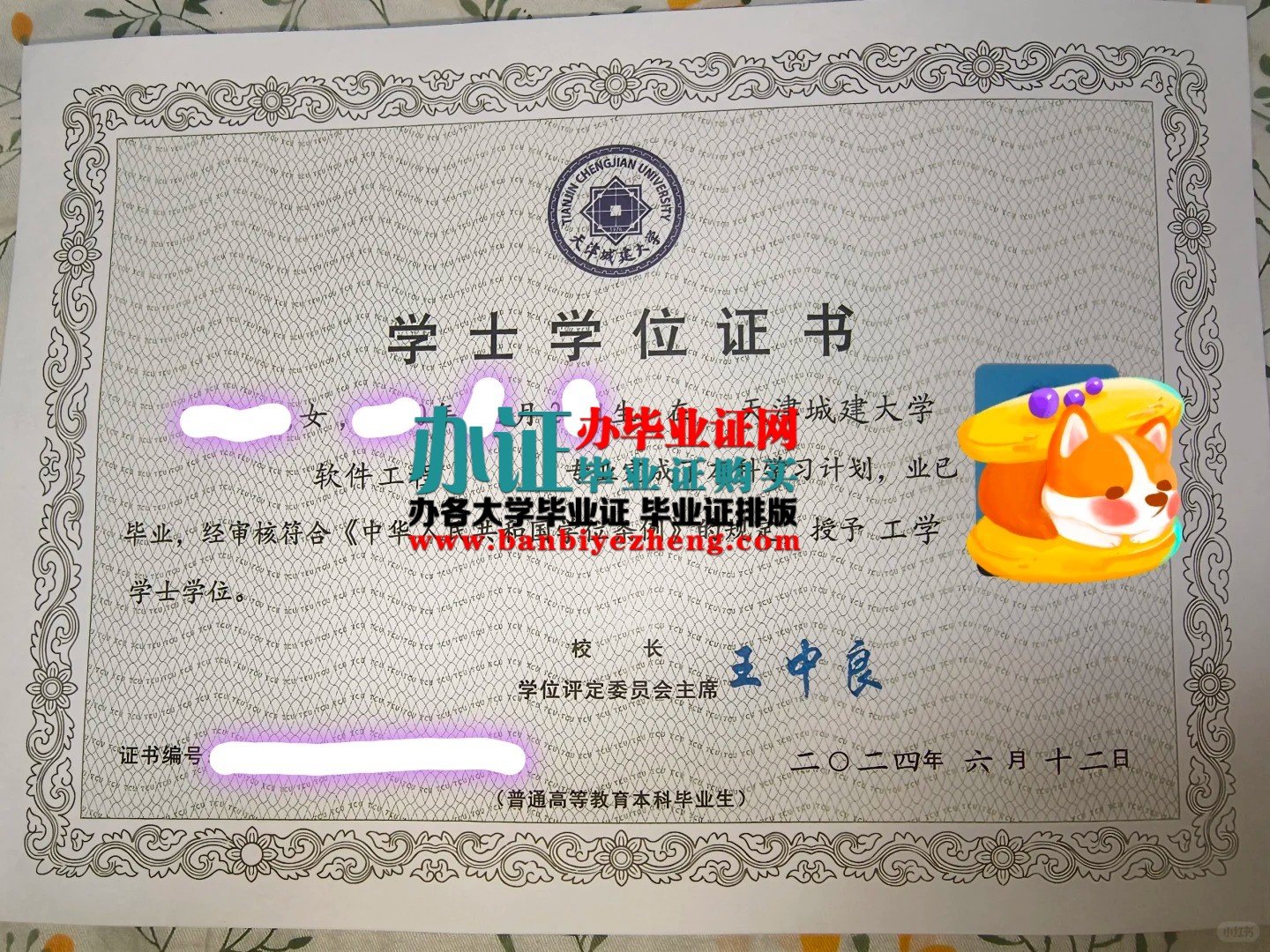 天津城建大学学士学位证样本