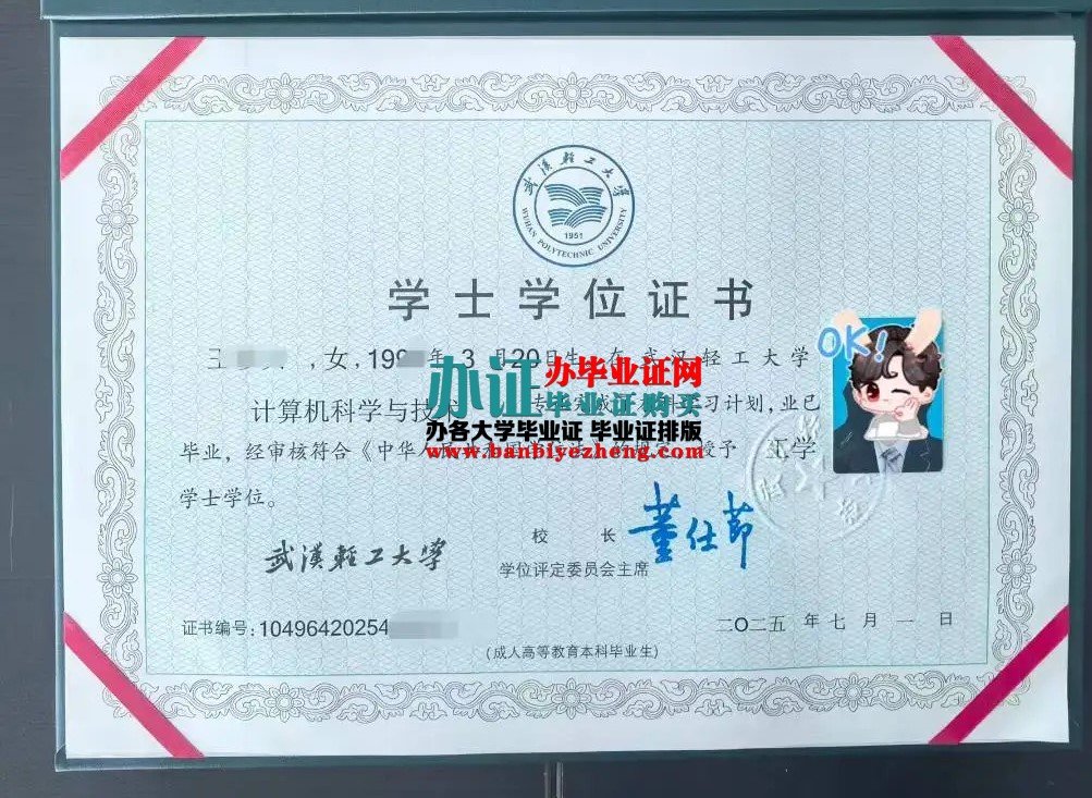 武汉轻工大学学士学位证样本