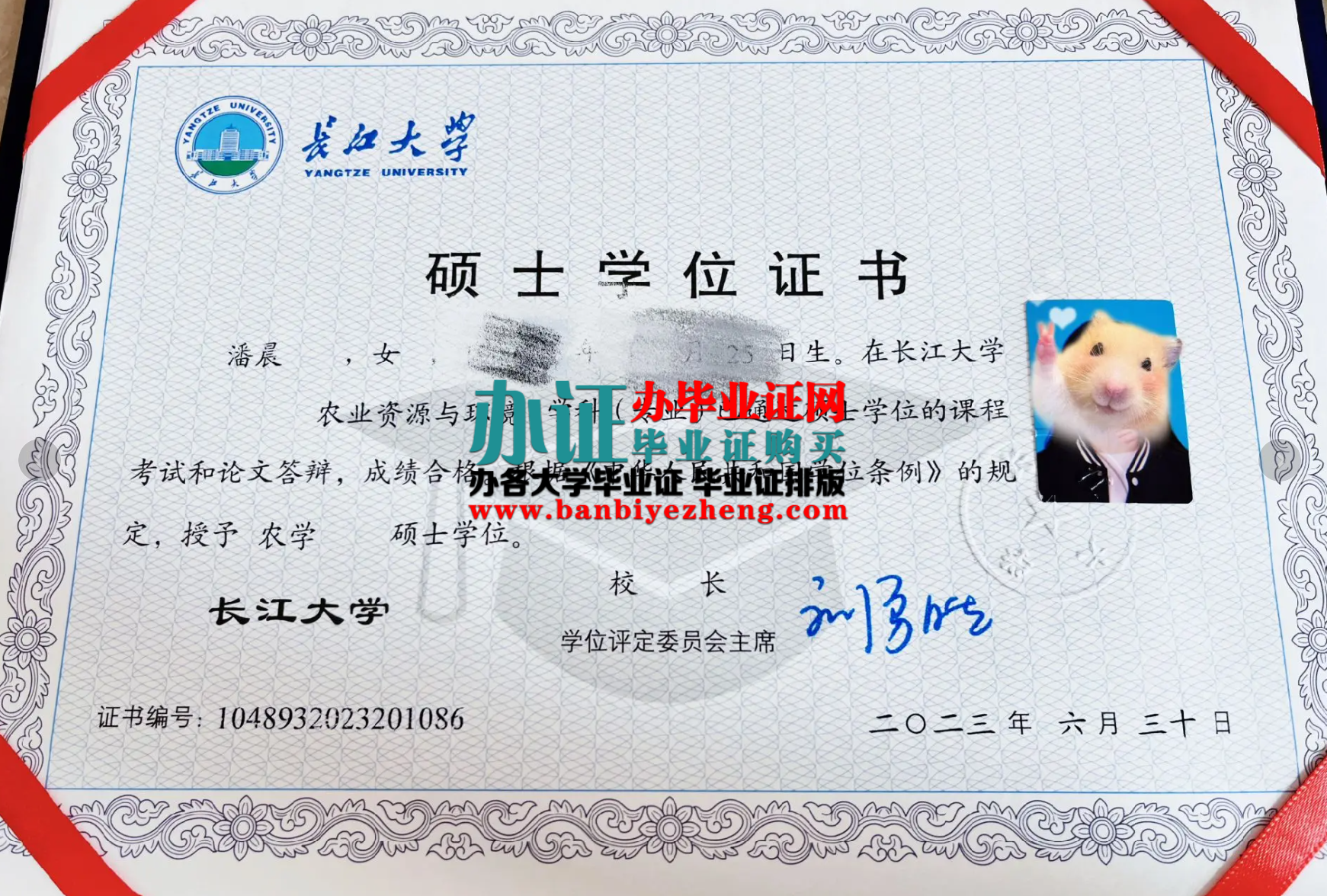 长江大学硕士学位证高清样本