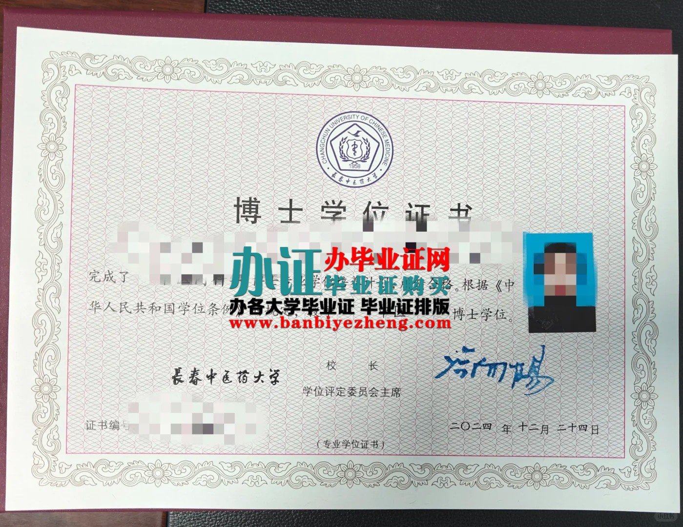 长春中医药大学博士学位证高清样本