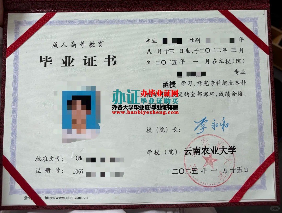 云南农业大学毕业证样本