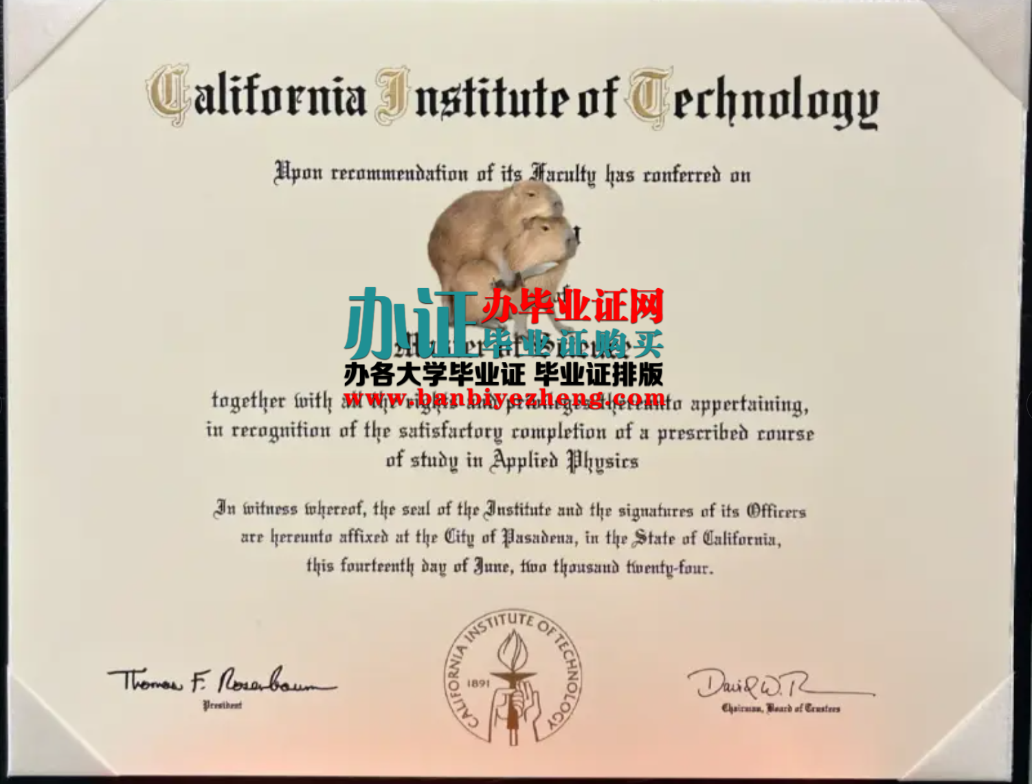 加州理工学院毕业证样本