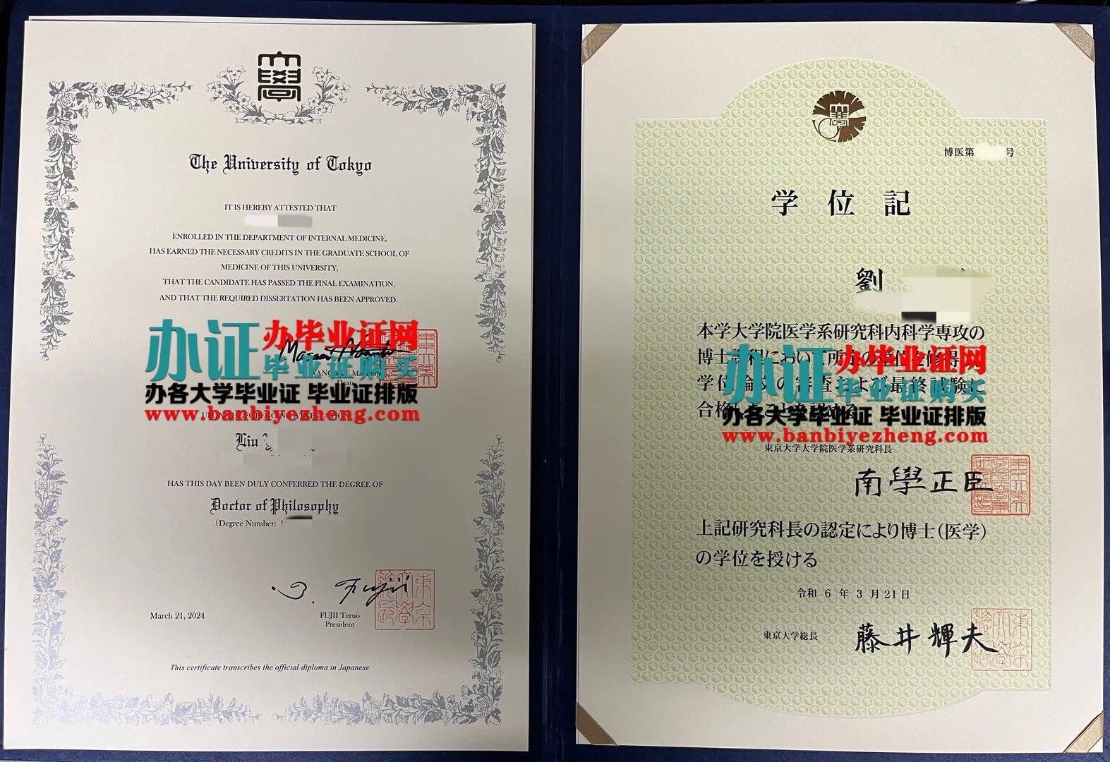 东京大学博士学位证样本