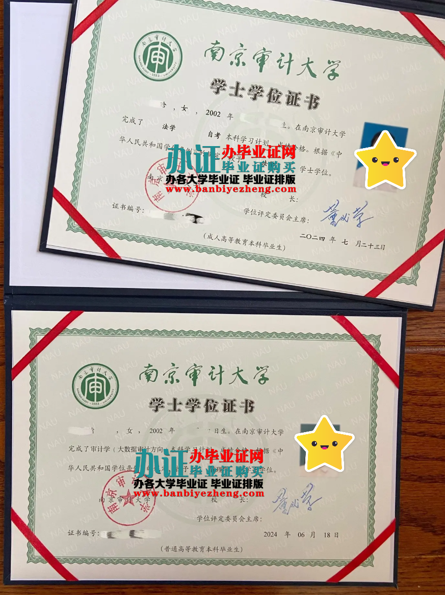 南京审计大学专版学士学位证高清样本