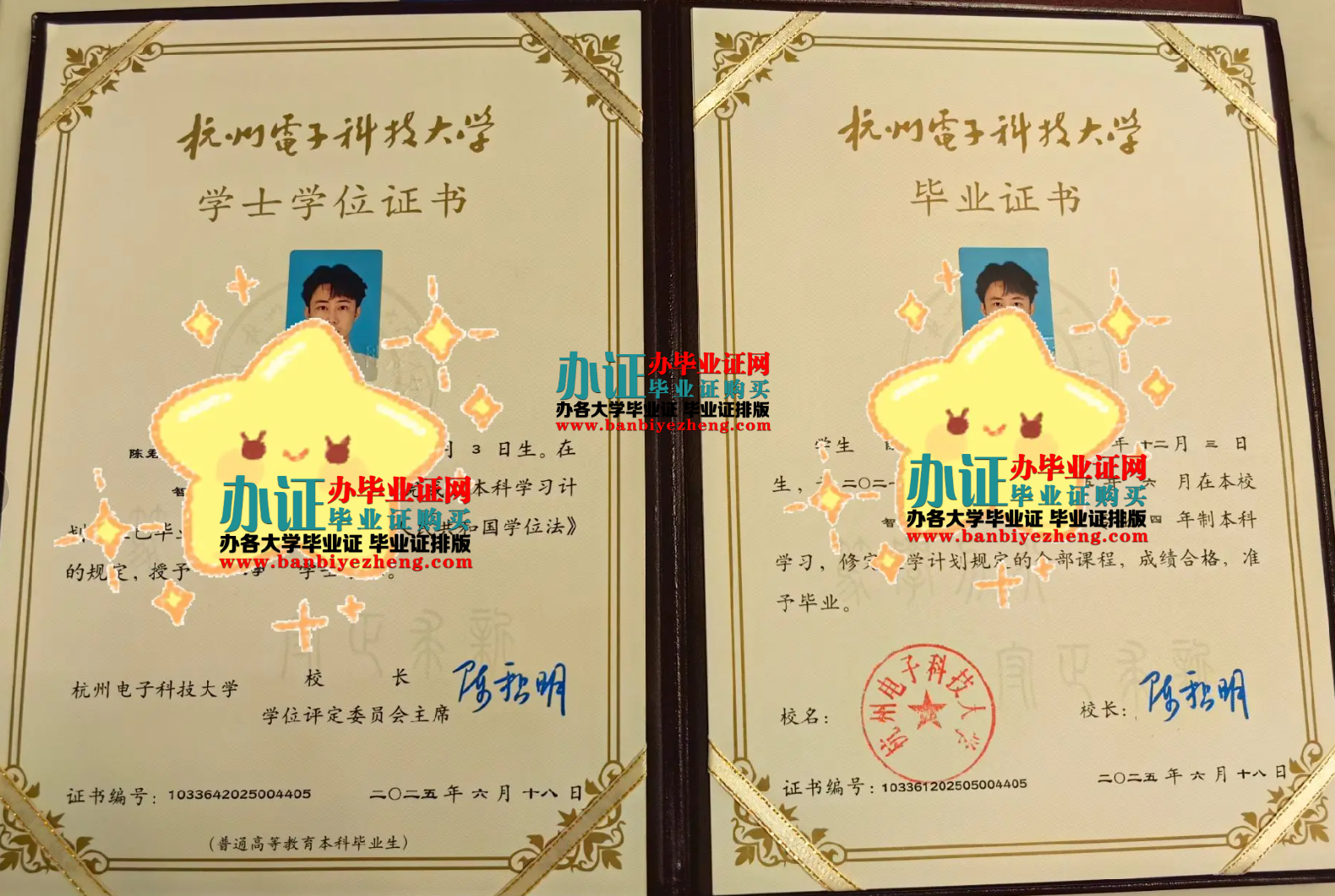 杭州电子科技大学专版学士学位证和本科毕业证样本