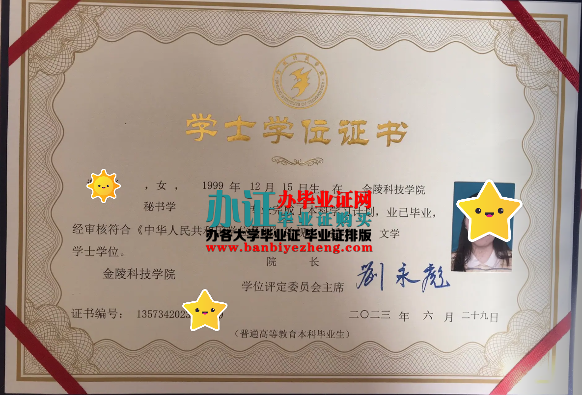 金陵科技学院学士学位证样本